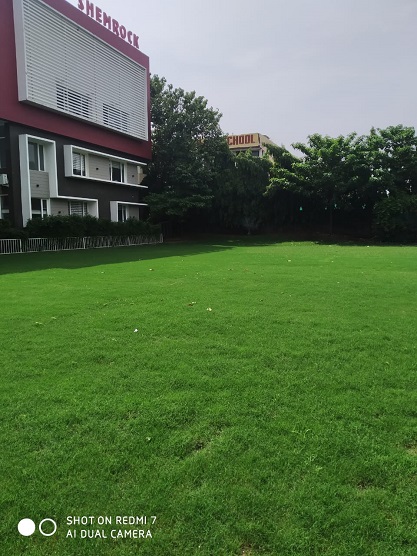 Mohali-Sector 69